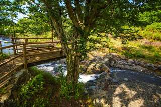 Курортные отели Oasis GASAMANIA Батуми Апартаменты Делюкс-16