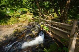 Курортные отели Oasis GASAMANIA Батуми Апартаменты Делюкс-19