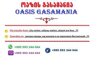 Курортные отели Oasis GASAMANIA Батуми Апартаменты Делюкс-2