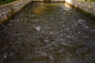 Курортные отели Oasis GASAMANIA Батуми Апартаменты Делюкс-23