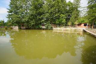 Курортные отели Oasis GASAMANIA Батуми Апартаменты Делюкс-25