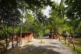 Курортные отели Oasis GASAMANIA Батуми Апартаменты Делюкс-27