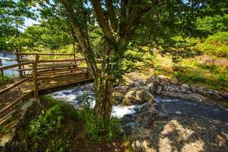 Курортные отели Oasis GASAMANIA Батуми Апартаменты Делюкс-49