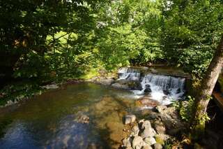 Курортные отели Oasis GASAMANIA Батуми Апартаменты Делюкс-51