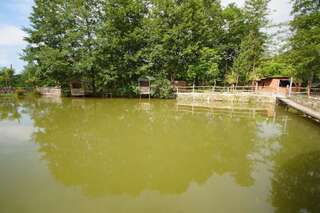 Курортные отели Oasis GASAMANIA Батуми Апартаменты Делюкс-59