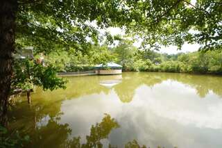 Курортные отели Oasis GASAMANIA Батуми Апартаменты Делюкс-63