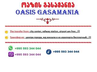 Курортные отели Oasis GASAMANIA Батуми Апартаменты Делюкс-70